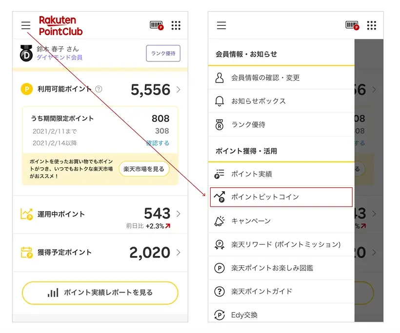 Rakuten Coin loyalty program